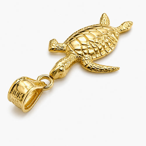 The Majestic Turtle