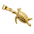 The Majestic Turtle
