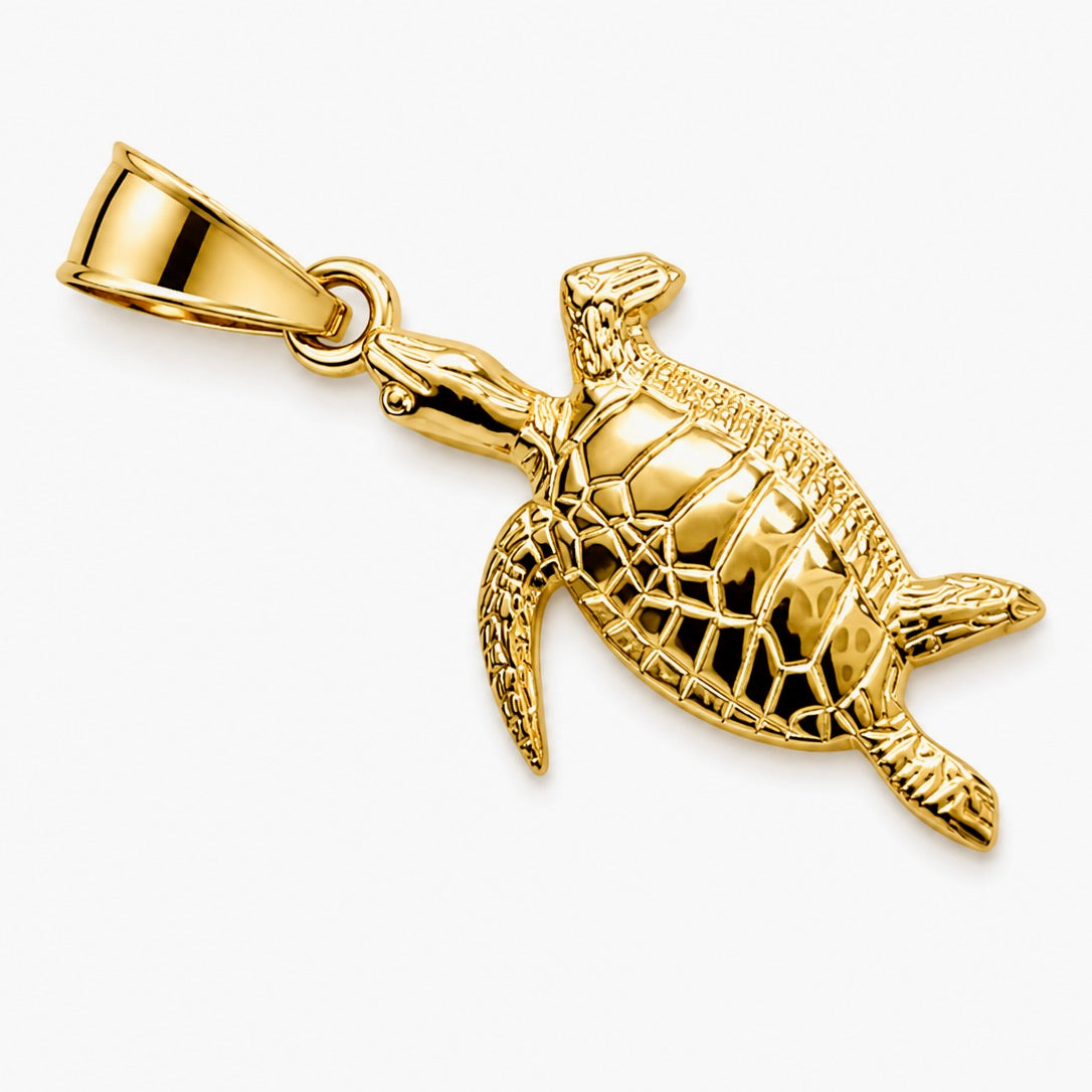 The Majestic Turtle