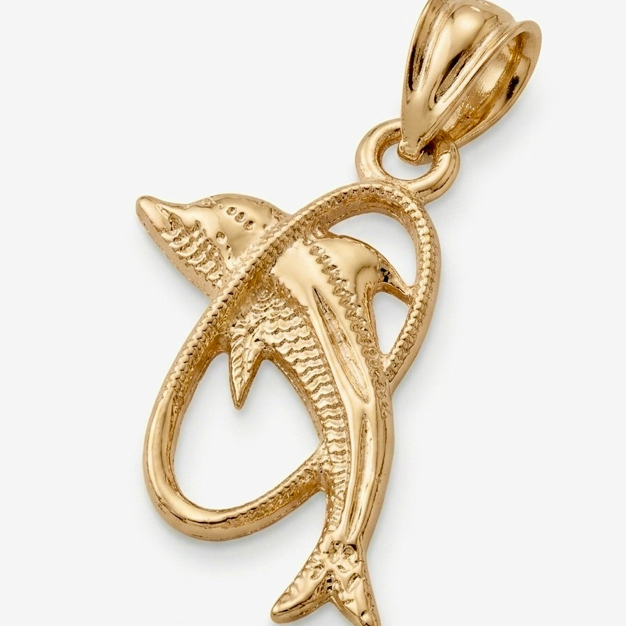The Ocean Dolphin