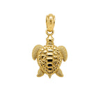 The Sea Turtle